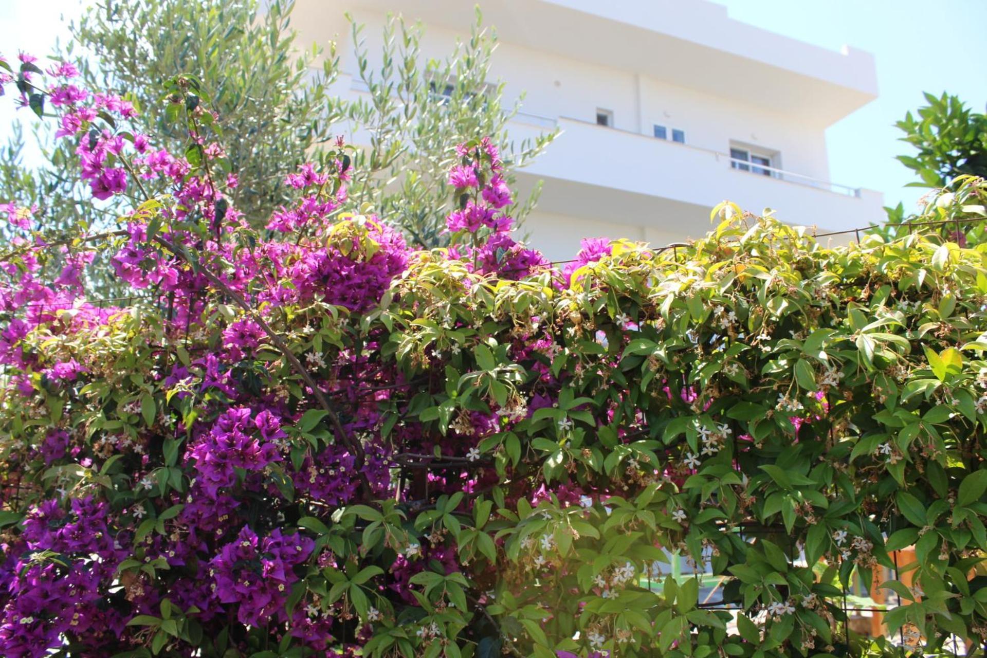 Seli'S Villa Ksamil Exterior foto